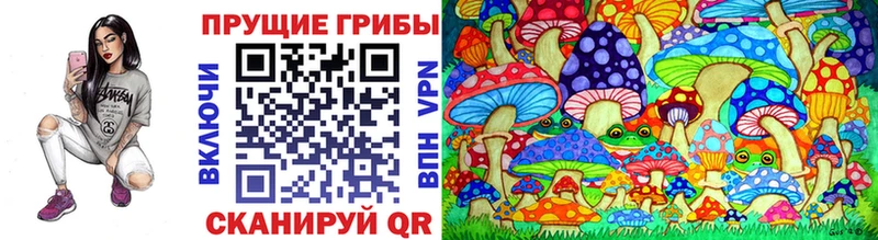 Галлюциногенные грибы мухоморы  Купить где  Луховицы 